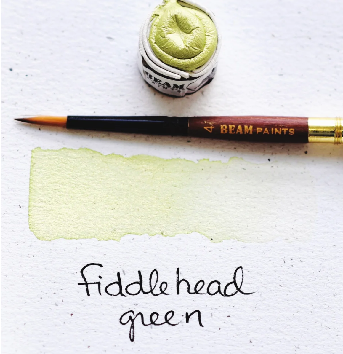Aquarelles naturelles | BEAM PAINTS