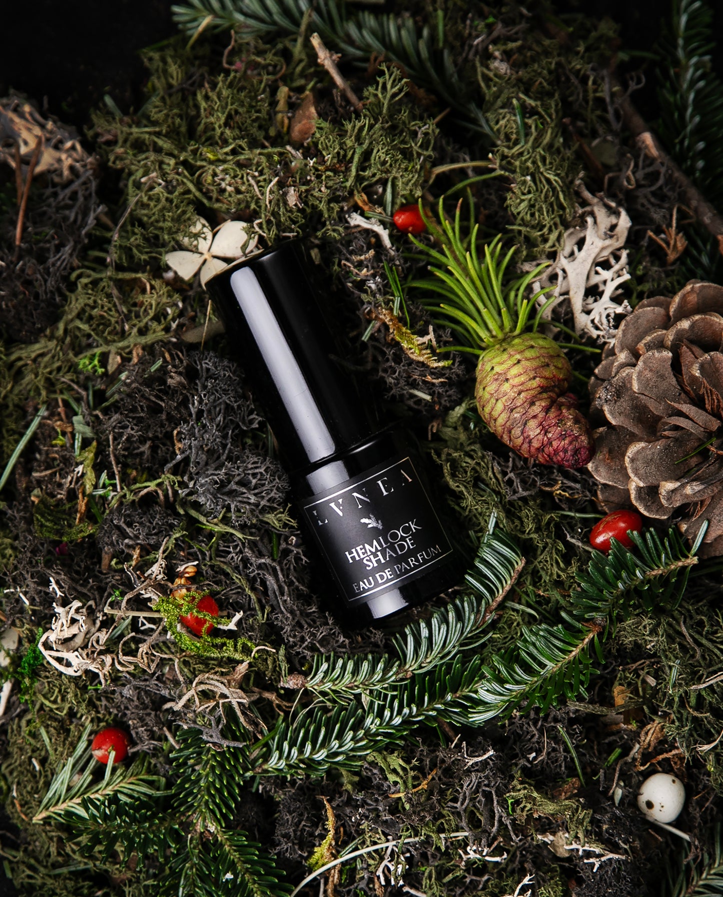 A 15ml black glass bottle of Hemlock Shade Eau de parfum seen from above, nestled amongst moss, pine cones, conifers, and other botanicals.