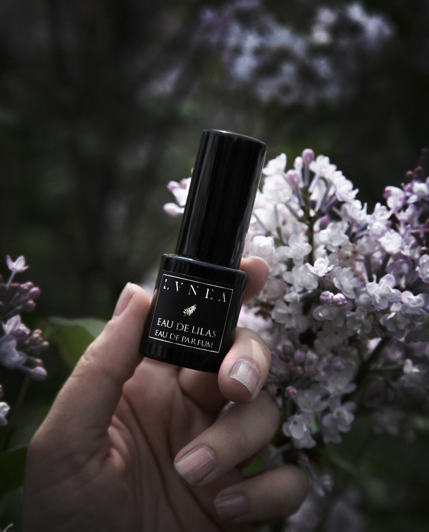 EAU DE LILAS | Limited Return Eau de Parfum