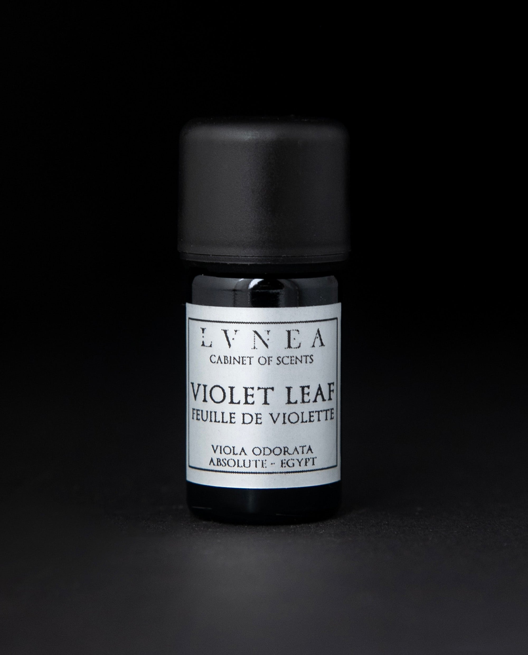 violetleaf.jpg?v=1742391345