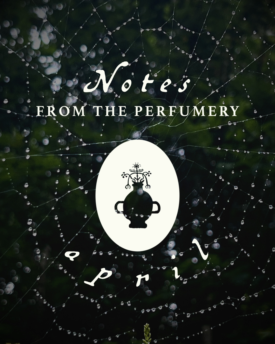 April 2026: Notes from the Perfumery