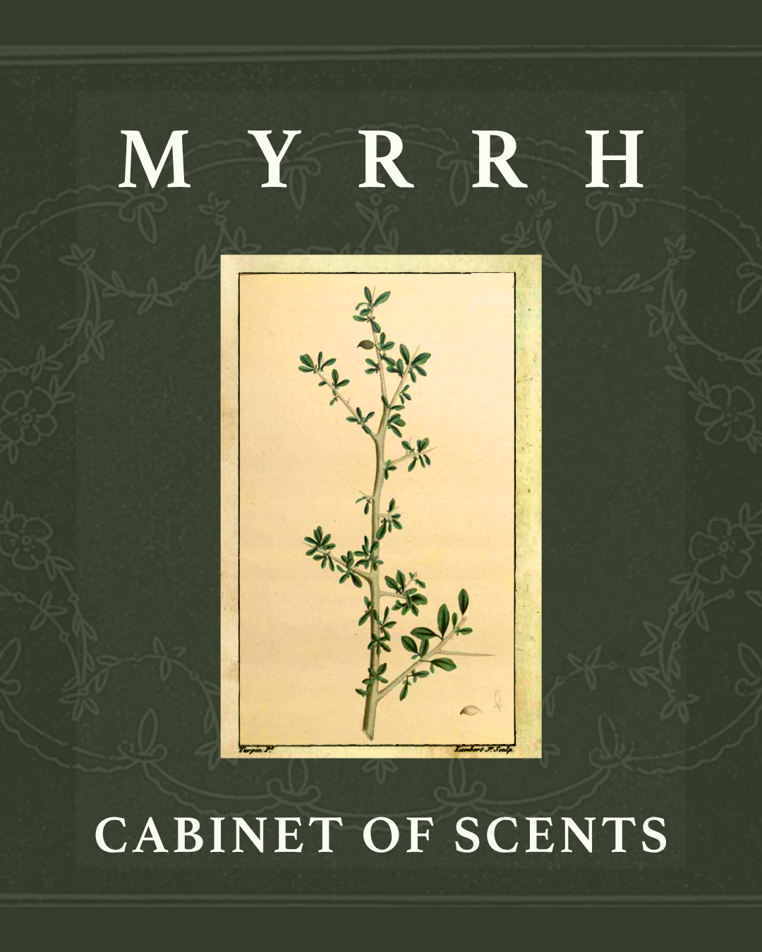 The Cabinet of Scents: Myrrh