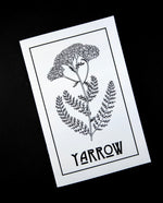 Herbal Revolution's zine about yarrow on black background. The cover is light grey, reads "Yarrow" in bold lettering, and features a simple illustration of a yarrow stem.