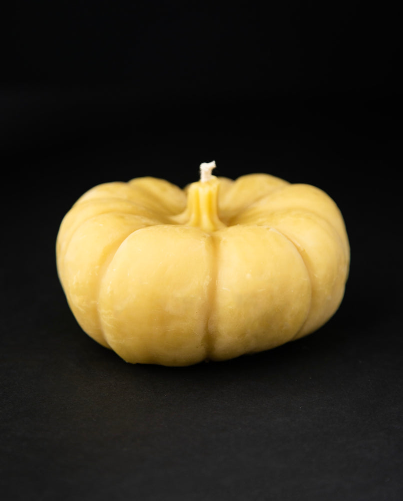 Pumpkin Beeswax Candle | THE RAMBLIN' BEE