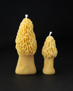 Two golden beeswax candles shaped like morel mushrooms standing side by side on a black backdrop. One is 4.5" tall, the other is 3" tall.