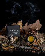 10g black glass pot of LVNEA's "amber forest" vegan solic perfume, open to reveal a golden balm. The pot is nestled in a pile of dried leaves, twigs, branches, and other botanicals.