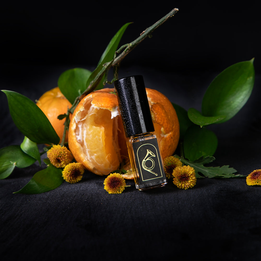 
                      
                        FORÊT AUX INSTRUMENTS: Une Symphonie d'Odeurs | Limited Edition Box Set
                      
                    