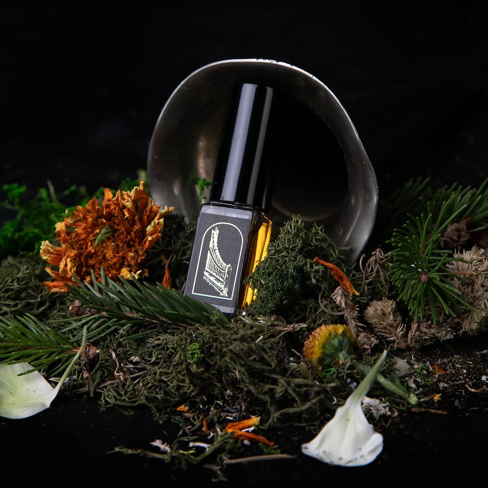 
                      
                        FORÊT AUX INSTRUMENTS: Une Symphonie d'Odeurs | Limited Edition Box Set
                      
                    