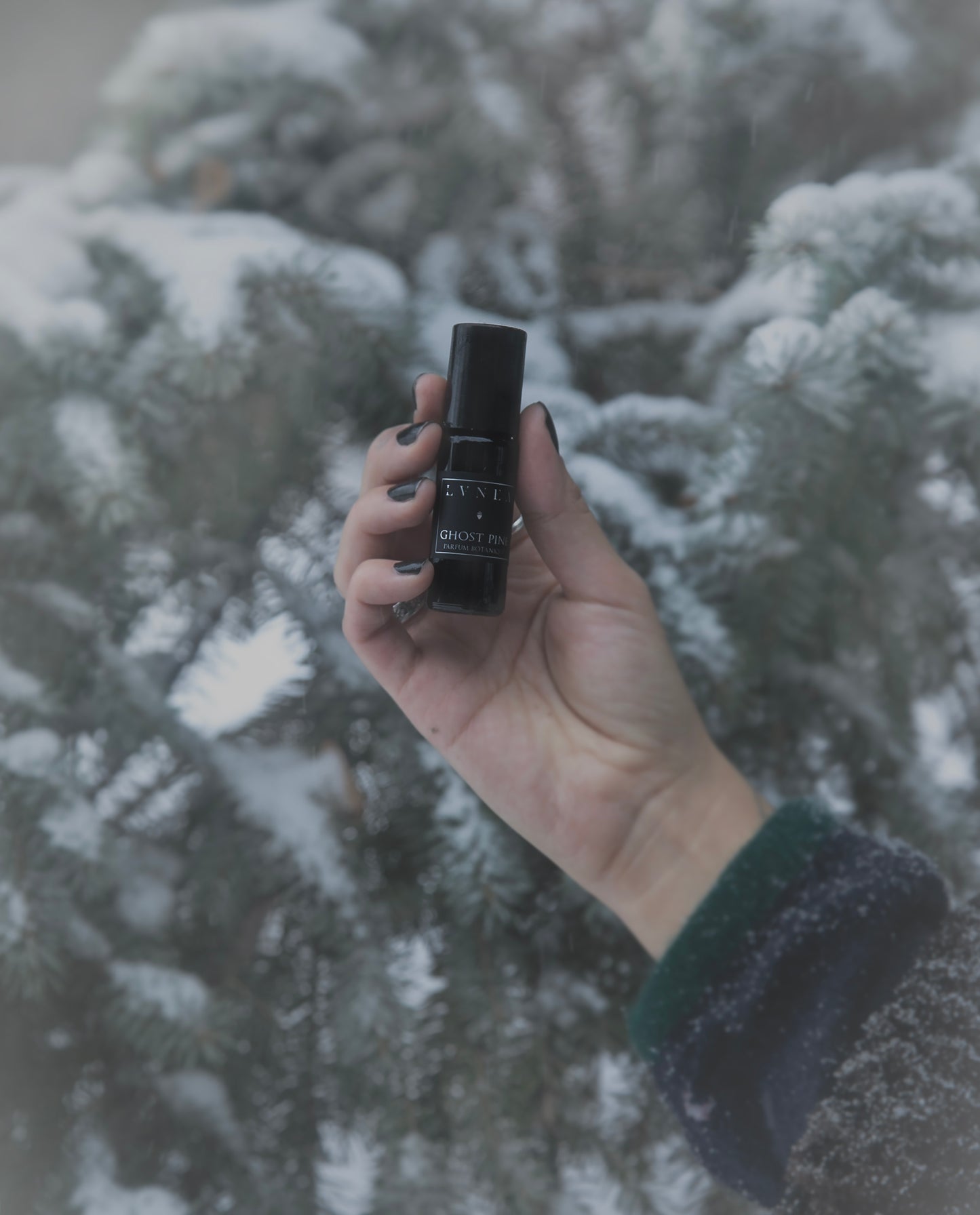 GHOST PINE | Parfum botanique - aiguilles de pin, feuillage, mousse