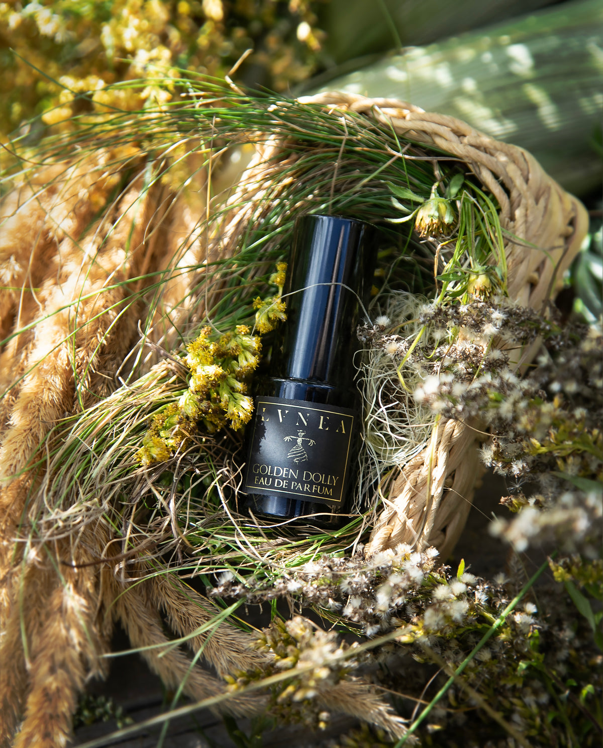 GOLDEN DOLLY | Eau de Parfum - woven grass, sweet corn, and maple butter