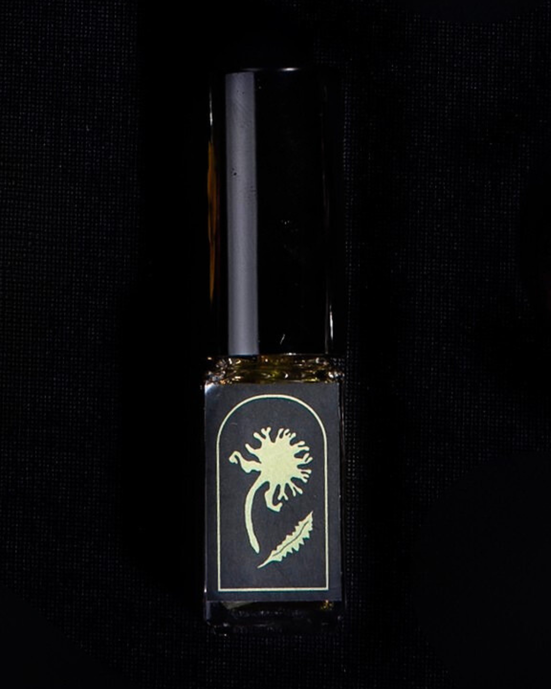 PISSENLIT | Le Language des Fleurs - Soliflore