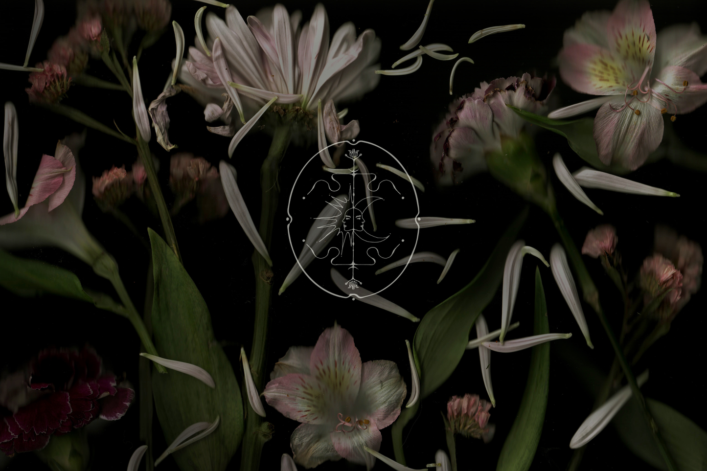 Lvnea Perfume