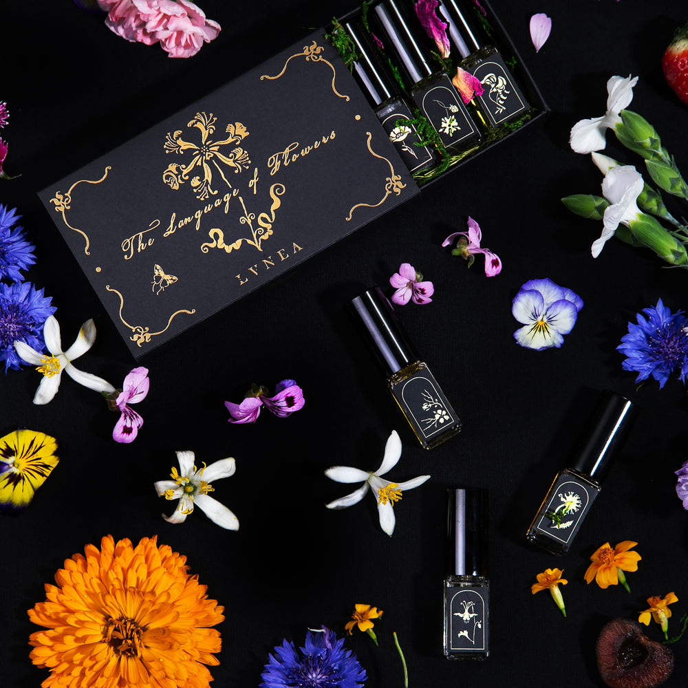 Overhead shot of LVNEA's limited edition "Language of Flowers" eau de parfum box set on a black background surrounded by fresh flowers. 
