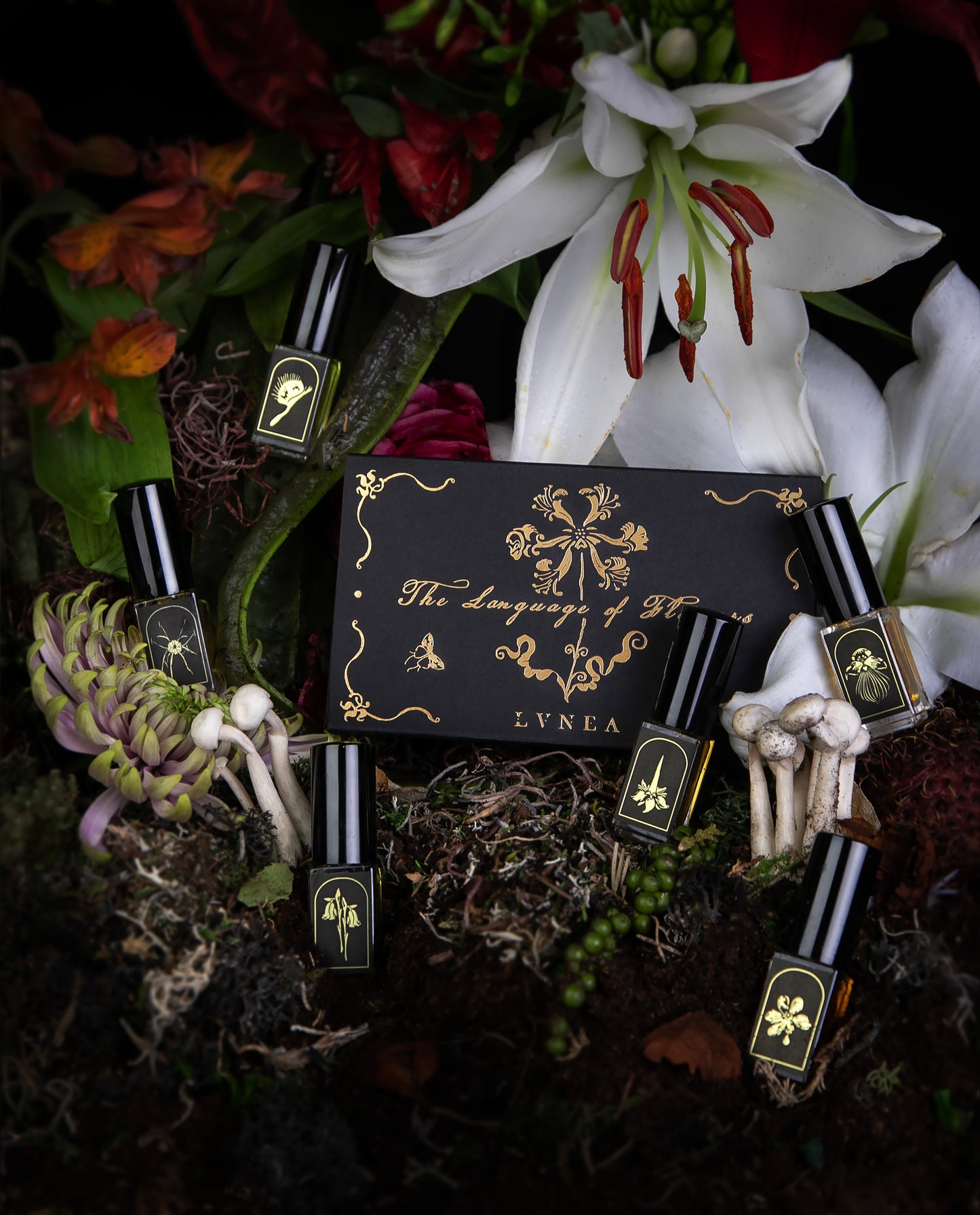 THE LANGUAGE OF FLOWERS II: Strange Flowers | Limited Edition Perfume Set