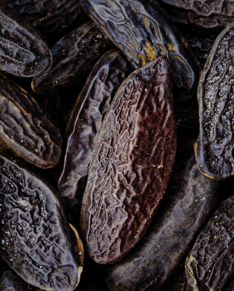 close up of a pile of dried tonka beans