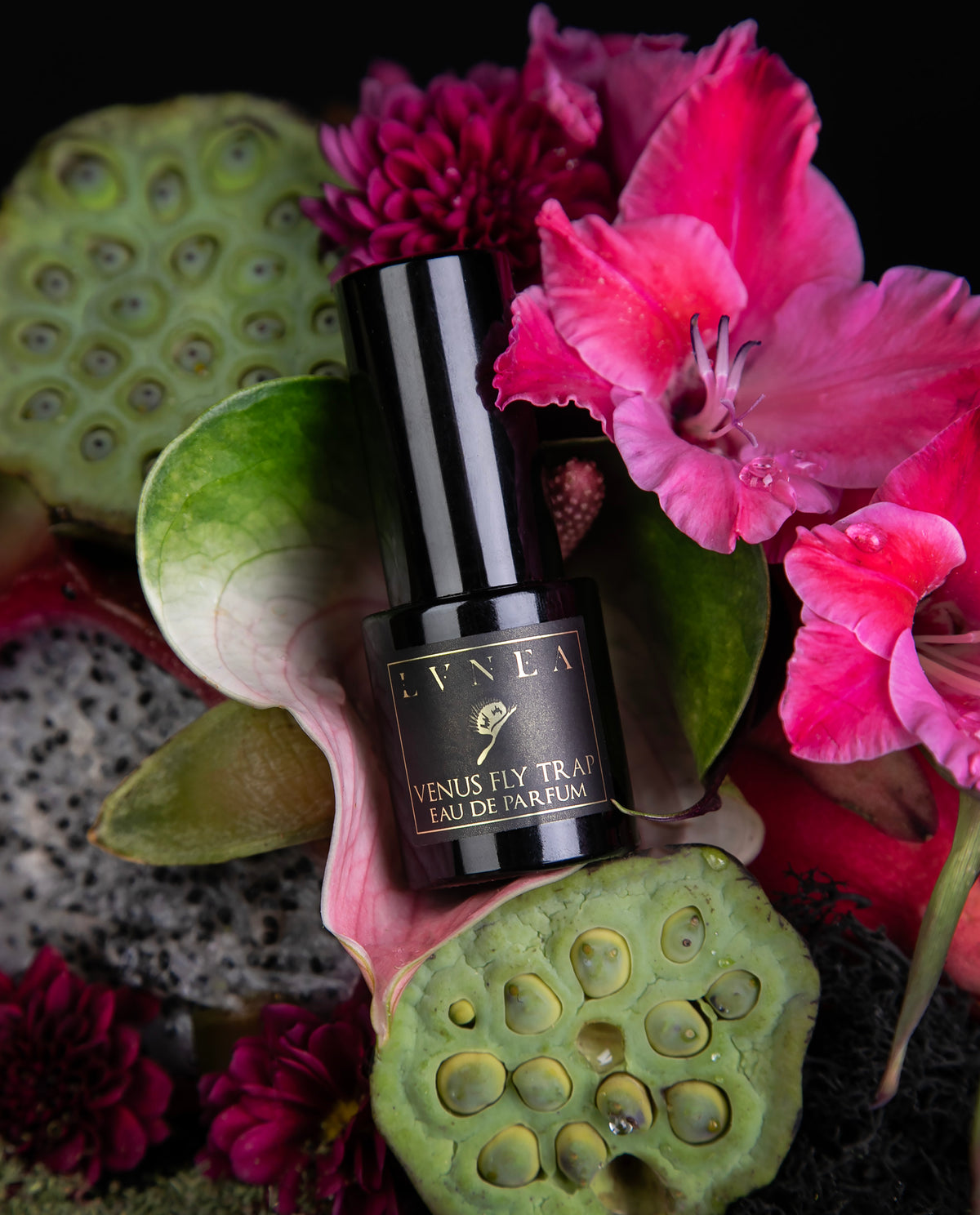 VENUS FLY TRAP | Eau de Parfum - Limited Edition