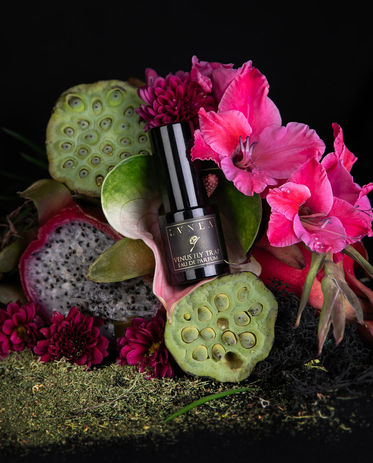 VENUS FLY TRAP | Eau de Parfum - Limited Edition
