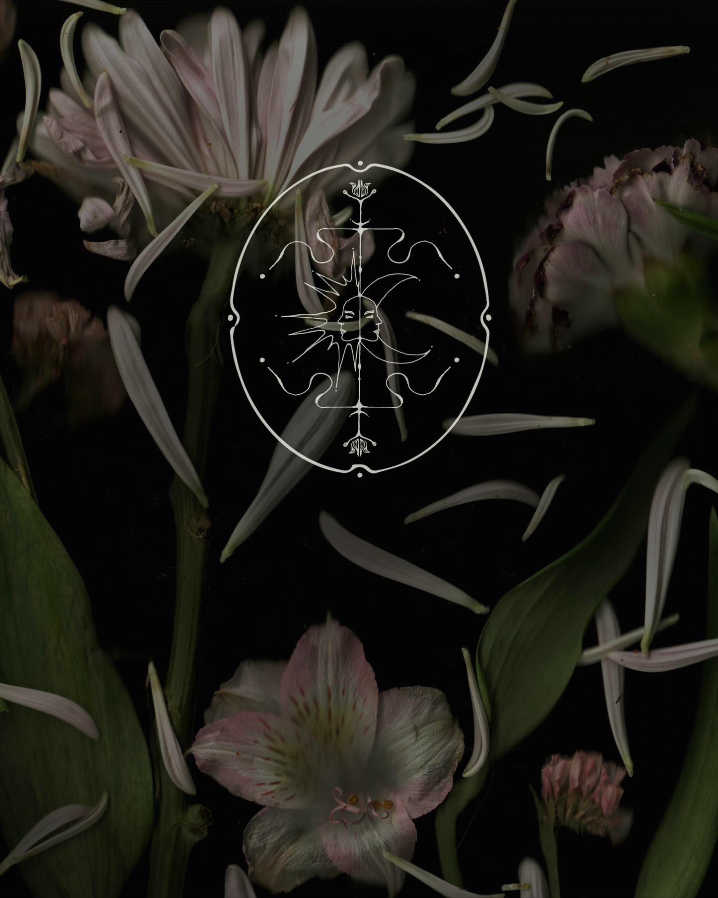 Lvnea Perfume