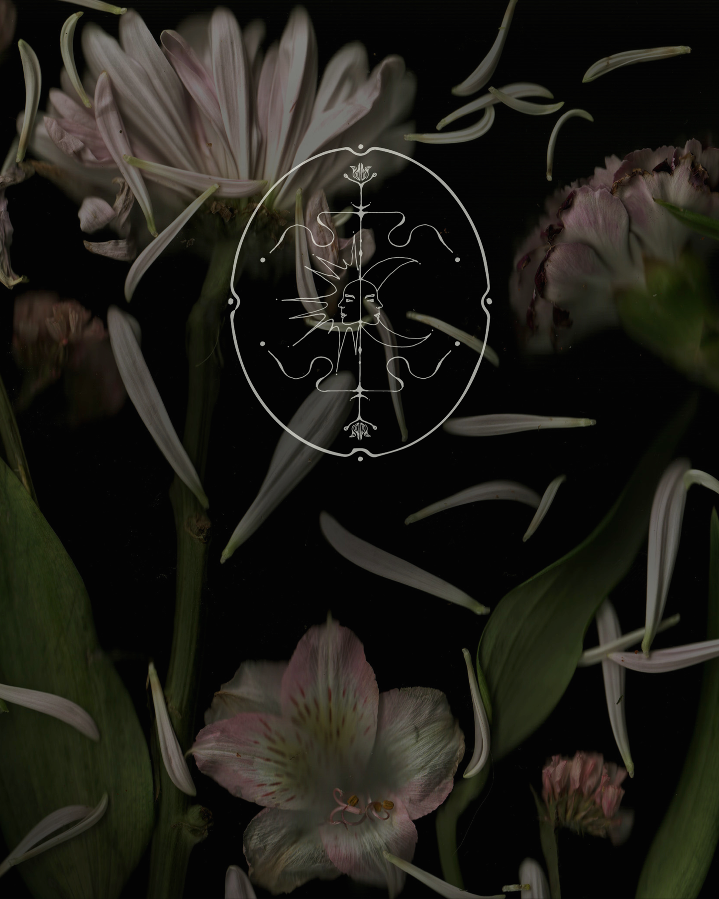 Lvnea Perfume