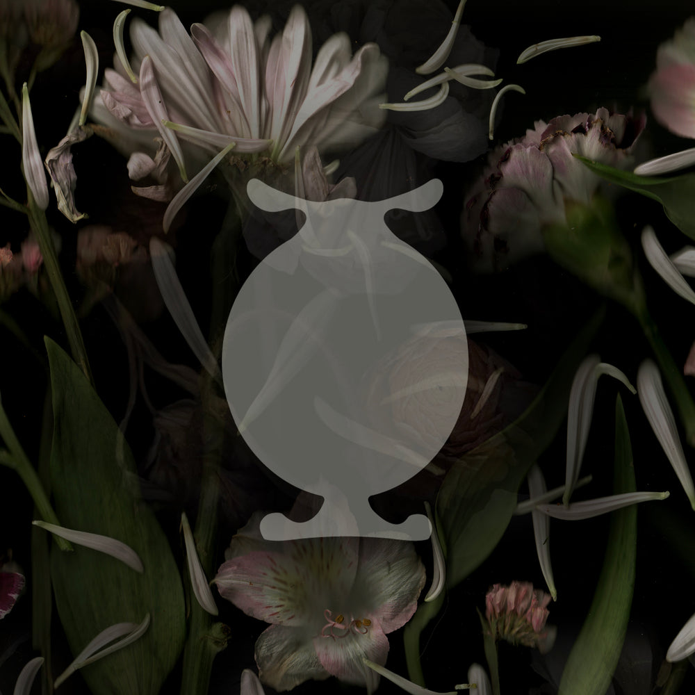 Lvnea Perfume