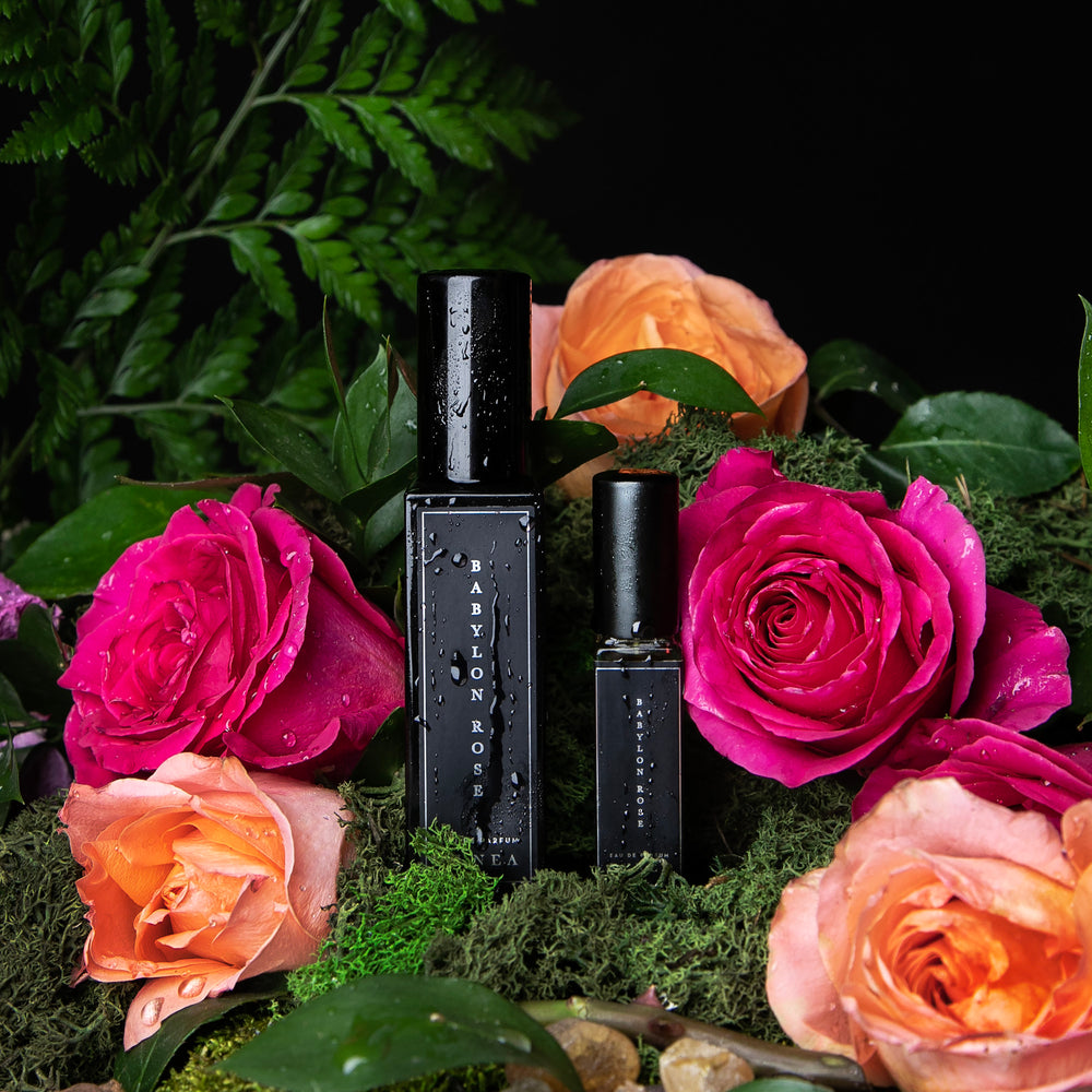 
                      
                        8ml and 30ml black glass bottles of LVNEA's Babylon Rose perfume, sitting on a bed of dewy roses and moss, with ferns in the background.
                      
                    