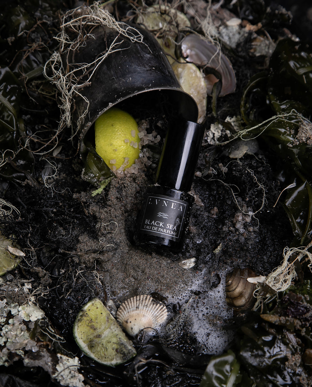 Black slim bottle of cult classic Black Sea EDP on a sandy surface with citrus peels, shells, and marine detritus