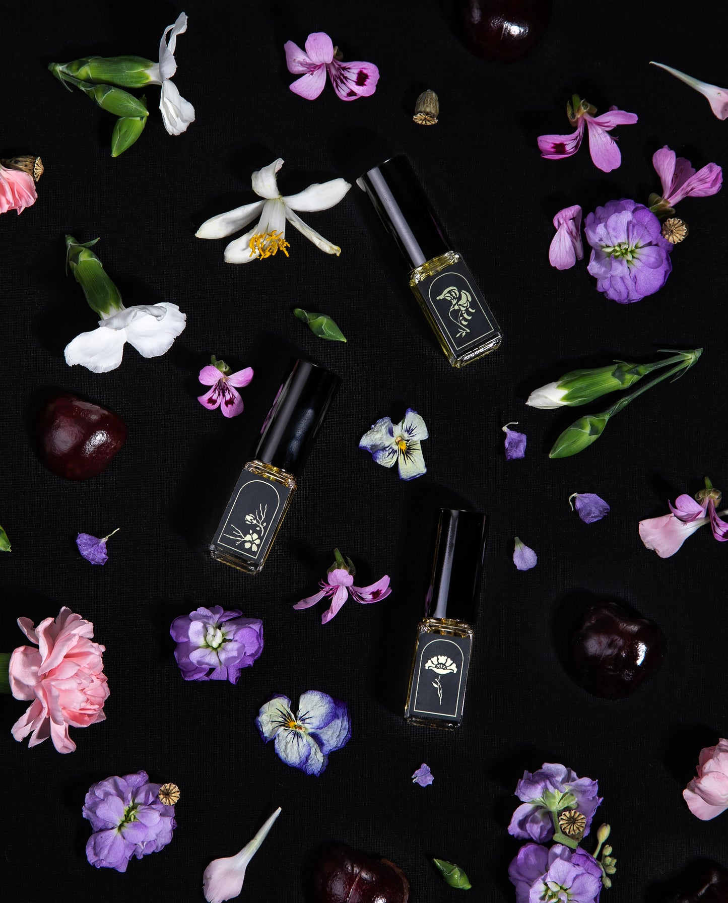 POIS DE SENTEUR | Le Language des Fleurs - Soliflore