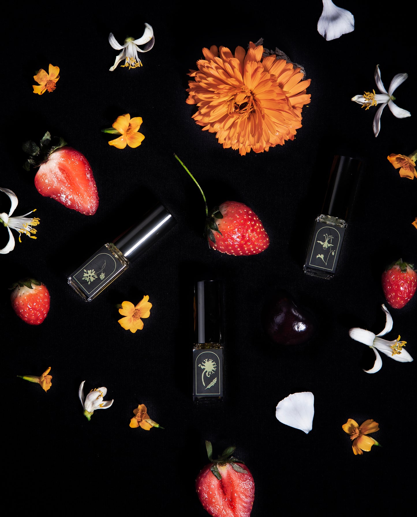 FLEUR DE FRAISIER | Le Language des Fleurs - Soliflore