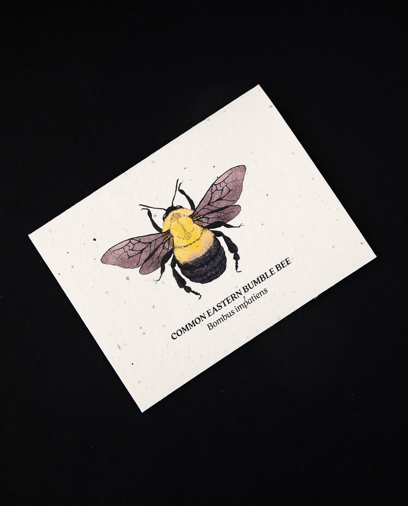 Bumble Bee Plantable Card | SMALL VICTORIES