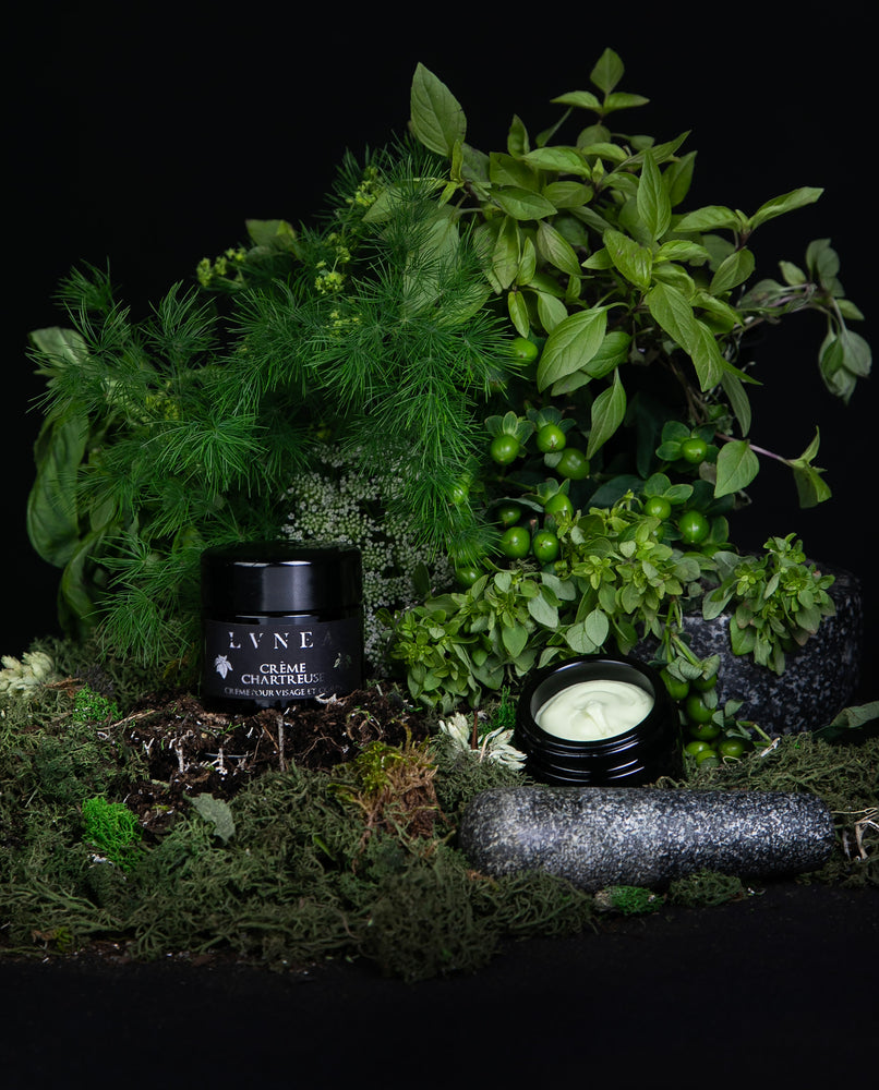 Black glass pot of LVNEA's Crème Chartreuse, propped atop a mound of earth, surrounded by greenery. An open pot sits at the foot of the mound of earth, flanked by a stone mortar and pestle, revealing an unctuous pastel green cream.