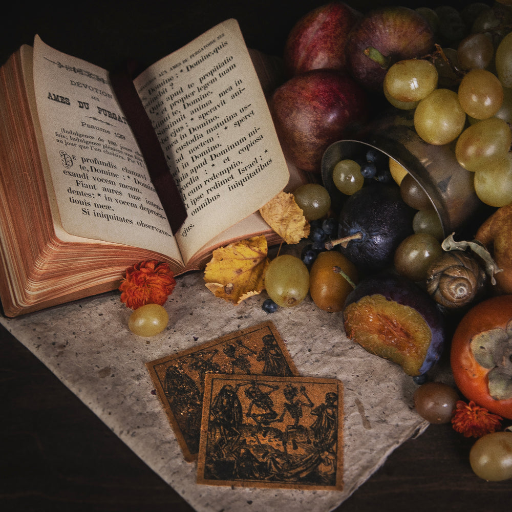 
                      
                        Une Nature Morte avec... | Coffret Saisonnier Automnal
                      
                    