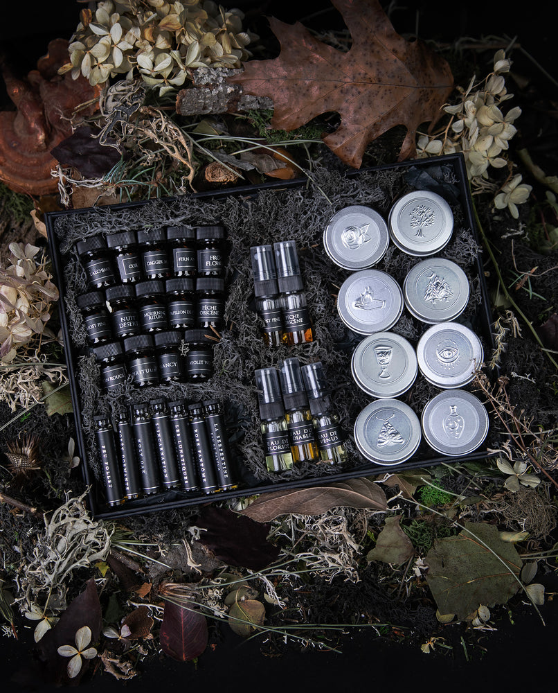 Sample set of LVNEA's entire signature line of perfumes in a black moss-ladden box, sitting on a bed of dead leaves and dried botanicals.
