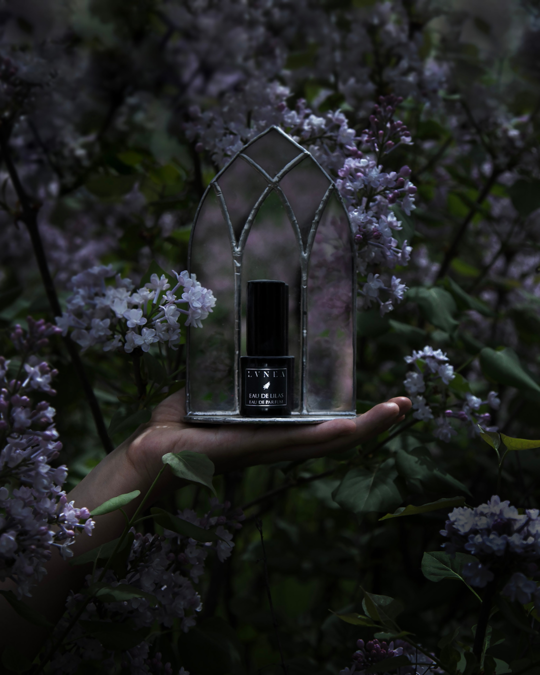 EAU DE LILAS | Limited Edition Eau de Parfum