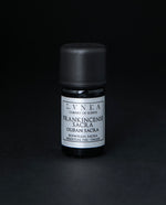 FRANKINCENSE SACRA ESSENTIAL OIL | Pure Plant Extract