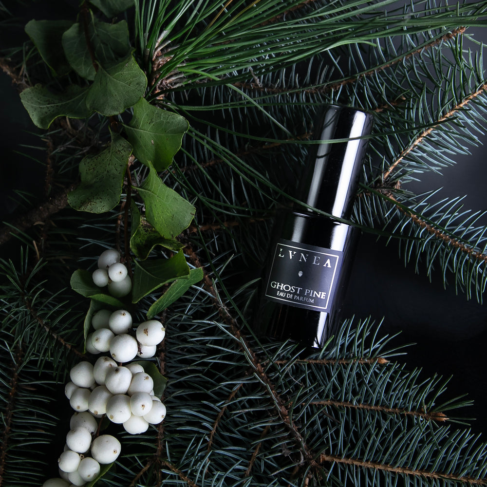 
                      
                        GHOST PINE | Ensemble cadeau huile et parfum
                      
                    