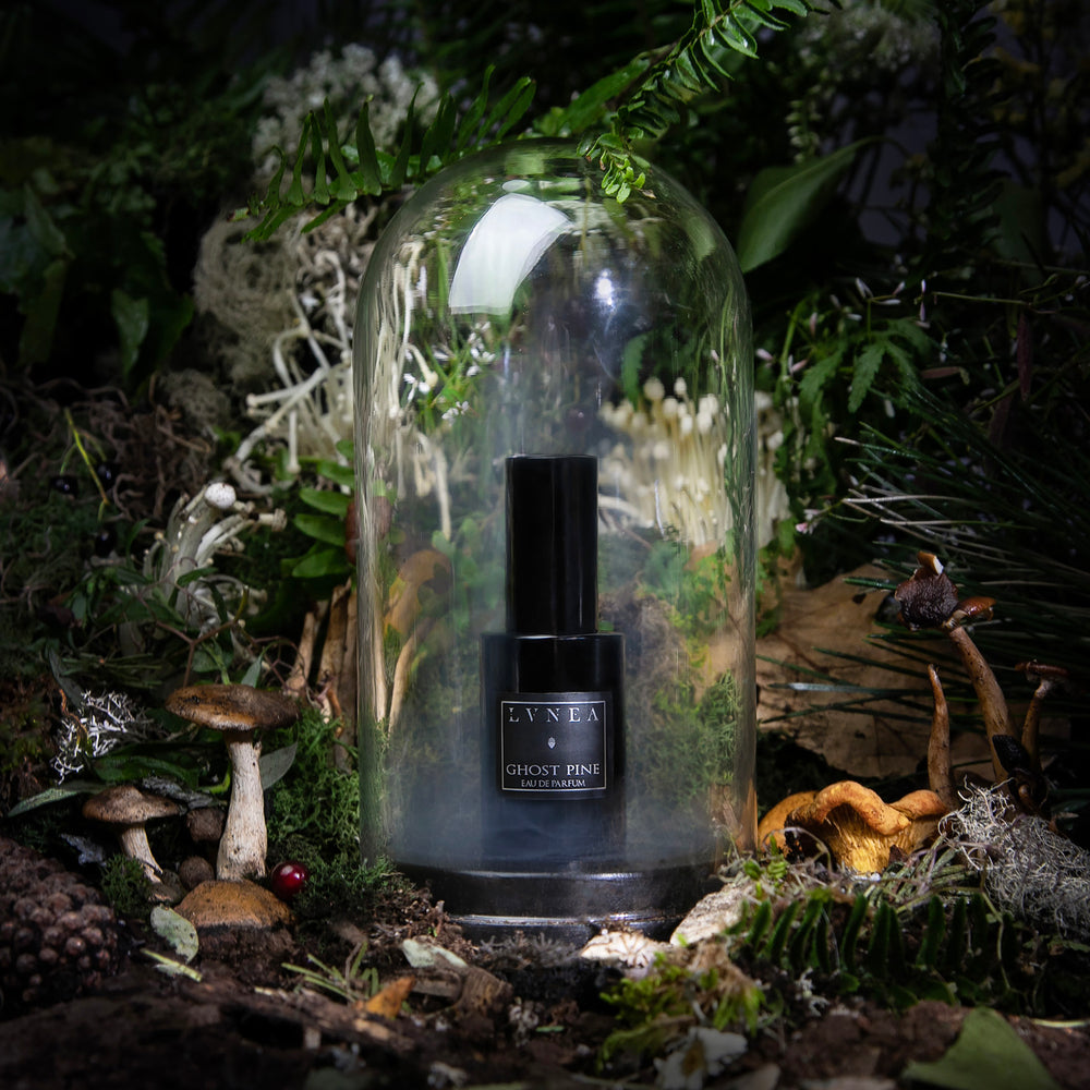 GHOST PINE | Fragrance Gift Set