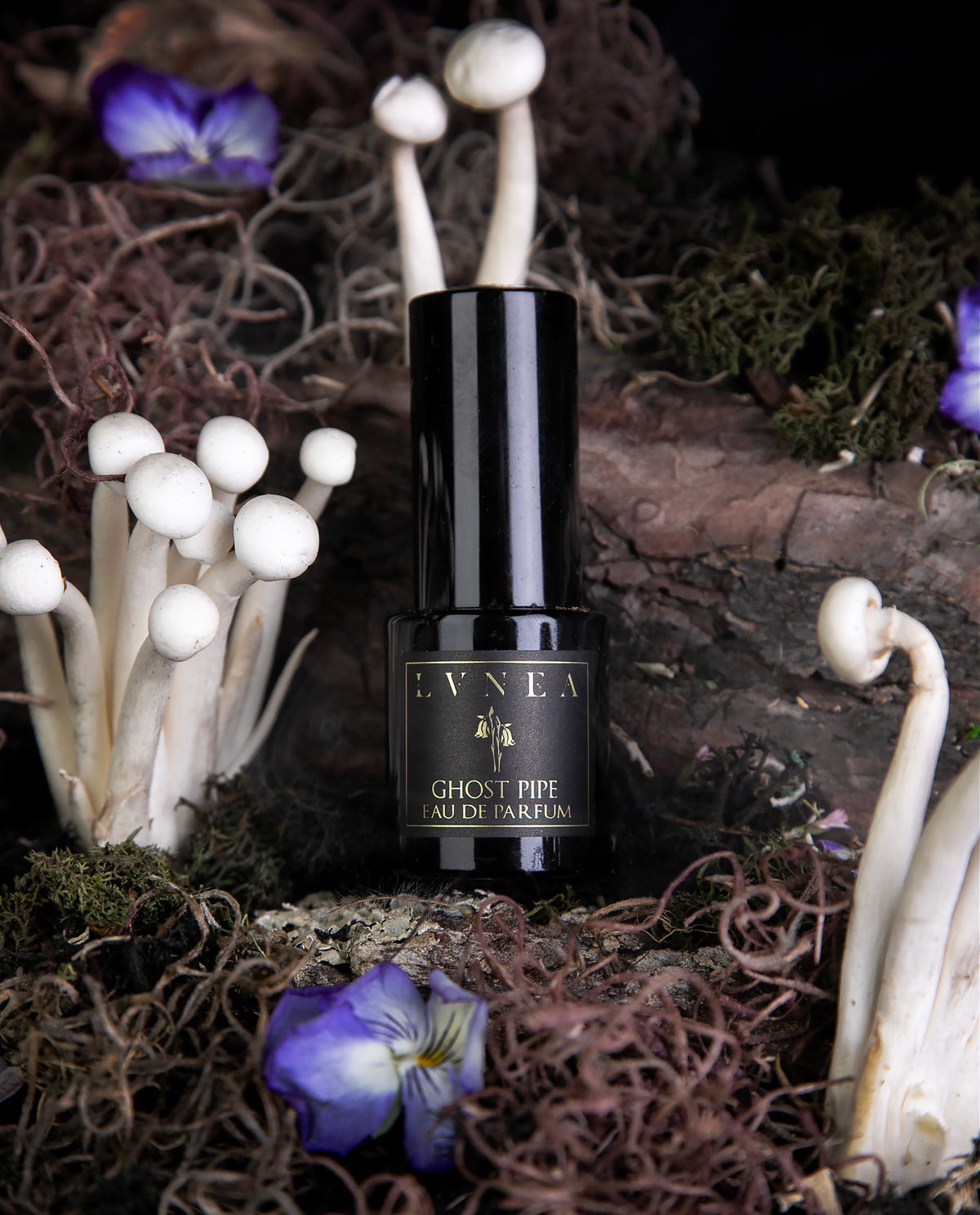 GHOST PIPE | Eau de Parfum - Limited Edition