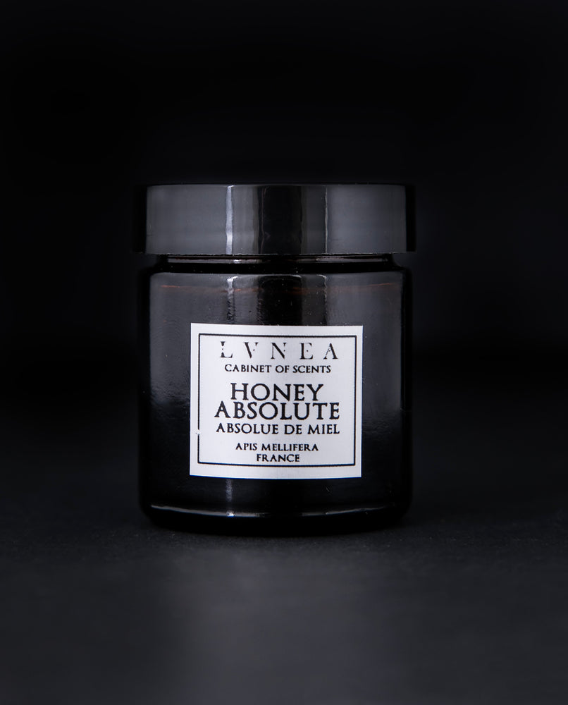 black jar with black screw top lid of LVNEA's honey absolute on black background