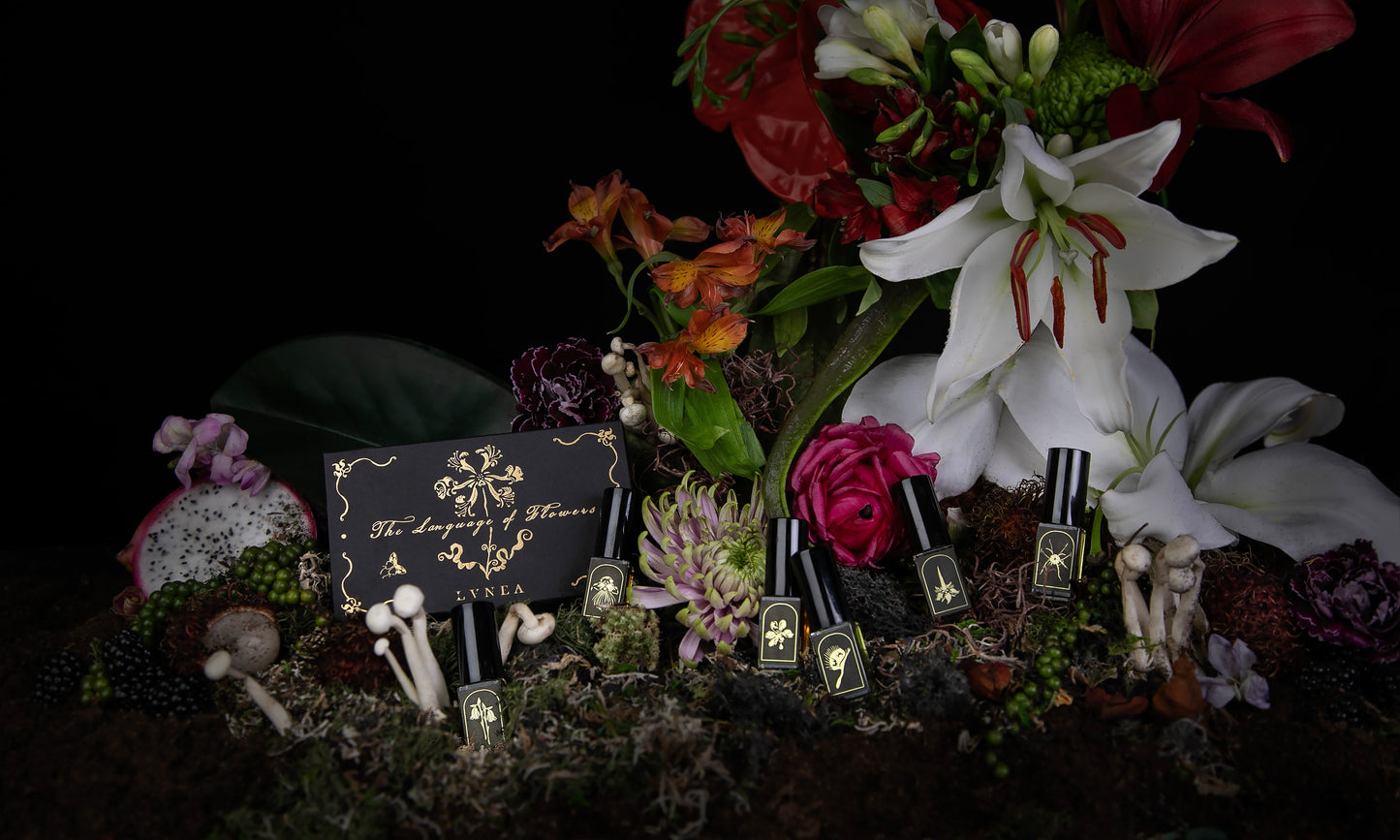 Lvnea Perfume