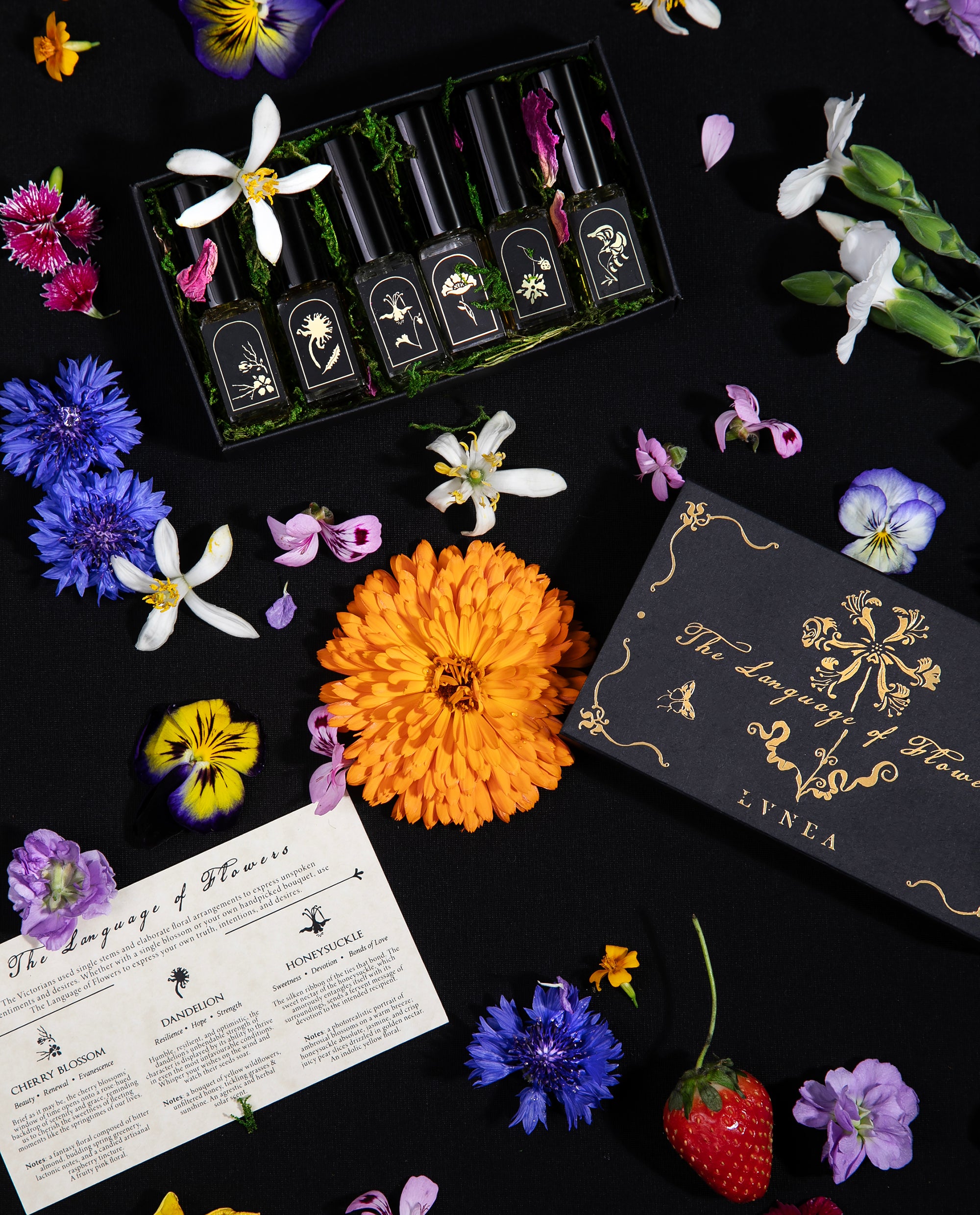 THE LANGUAGE OF FLOWERS | Springtime Seasonal Perfume Set