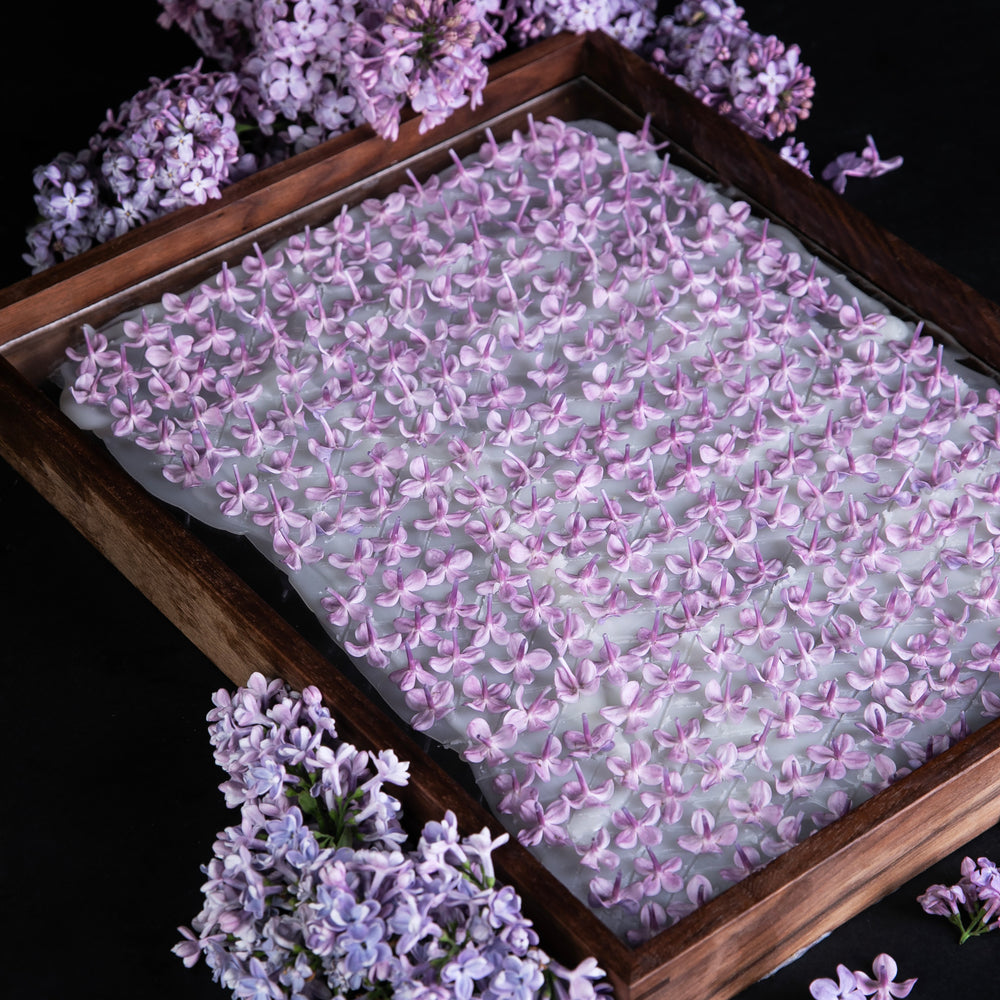 
                      
                        hundreds of lilac blooms face down on vegetal fat-covetred enfleurage tray
                      
                    