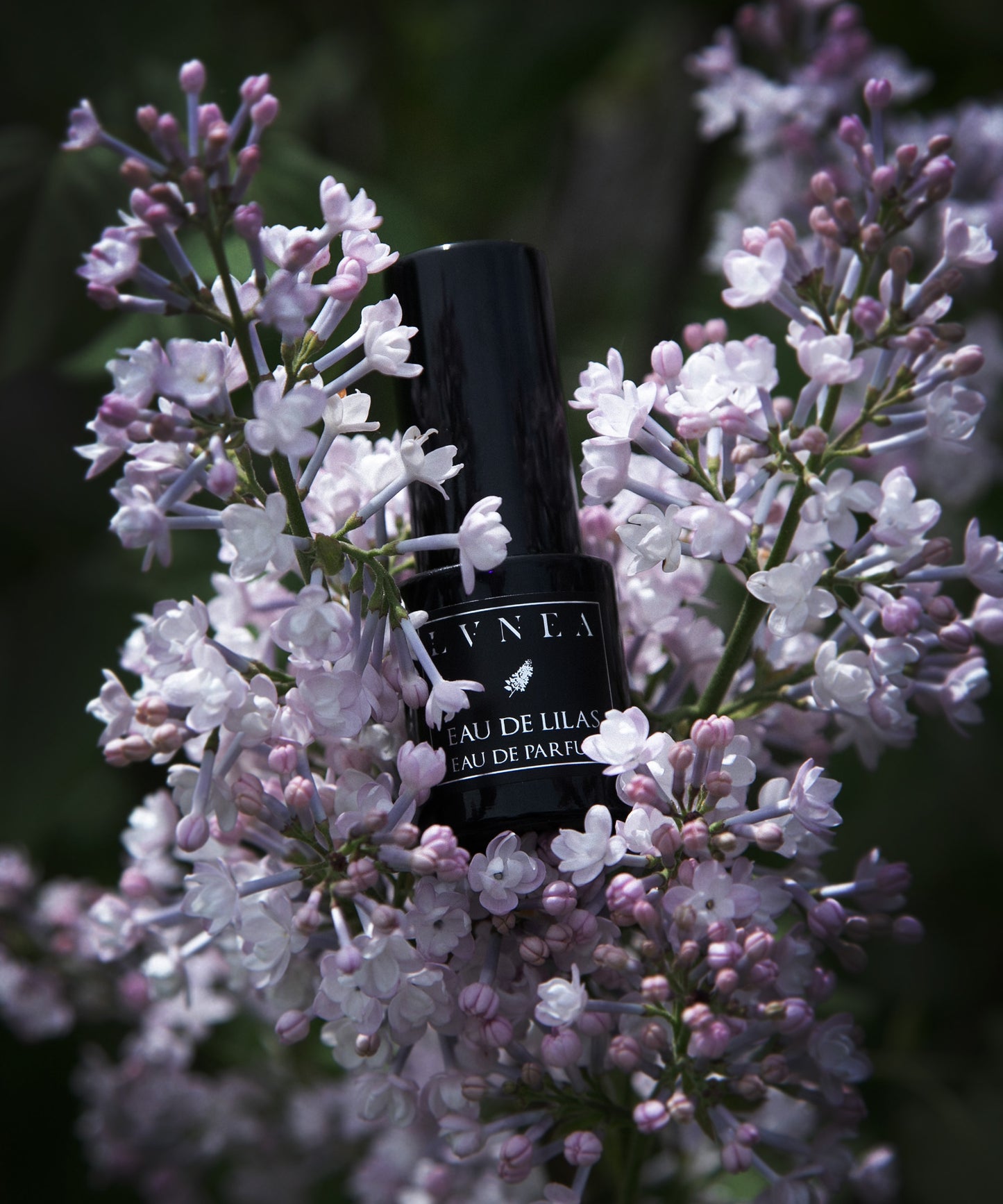 EAU DE LILAS | Limited Edition Eau de Parfum