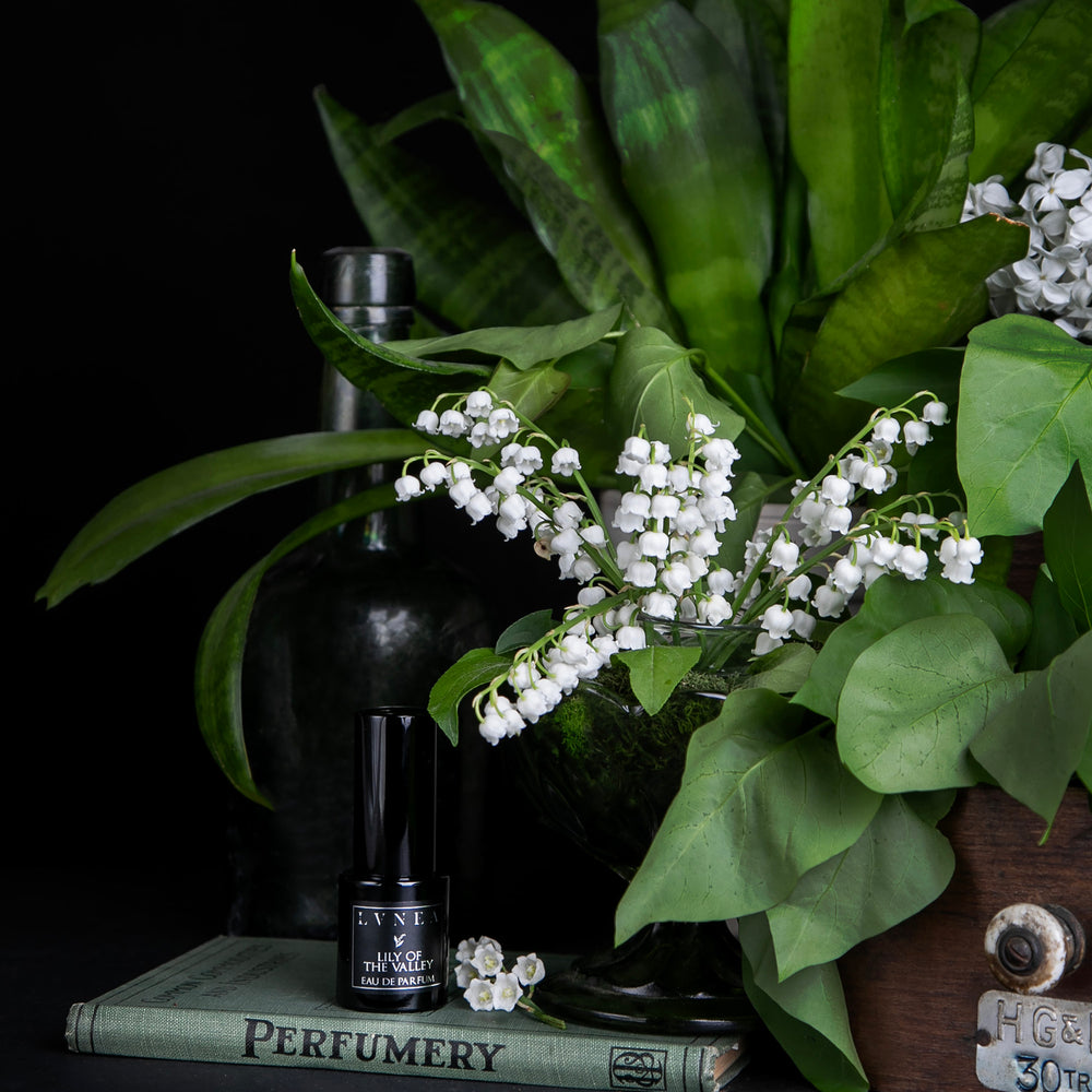 
                      
                        15ml bottle of LVNEA's limited edition Lily of the Valley perfume, sitting atop a vintage perfumery book, surrounded by wooden antiques and fresh spring greenery and florals
                      
                    