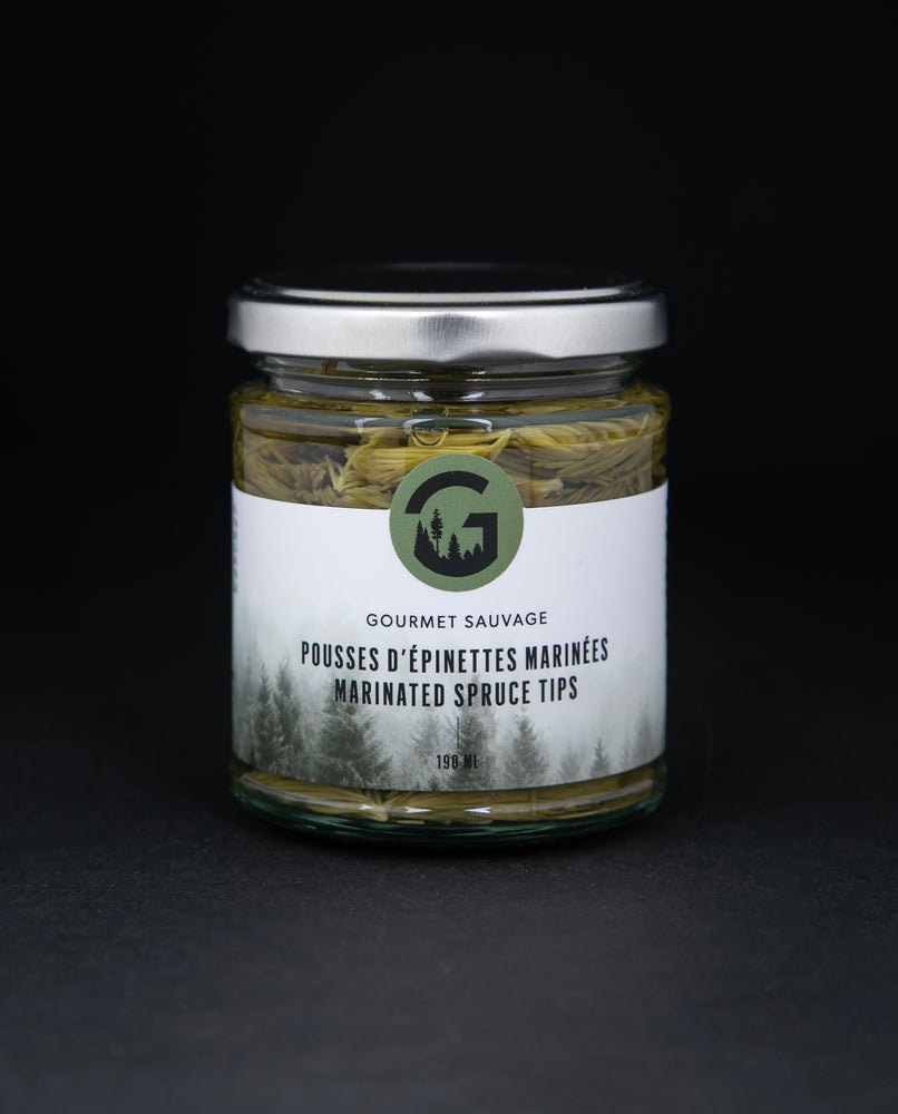 Clear glass jar with metal lid of Gourmet Sauvage's marinated spruce tips, sitting on black background
