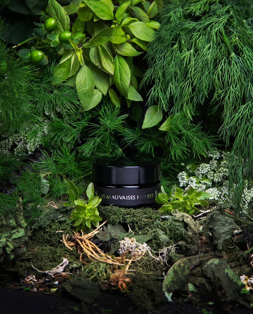 Black glass jar of LVNEA's limited edition Les Mauvaises Herbes powdered clay face mask, peeking out from a dense forest of herbs and vegetation
