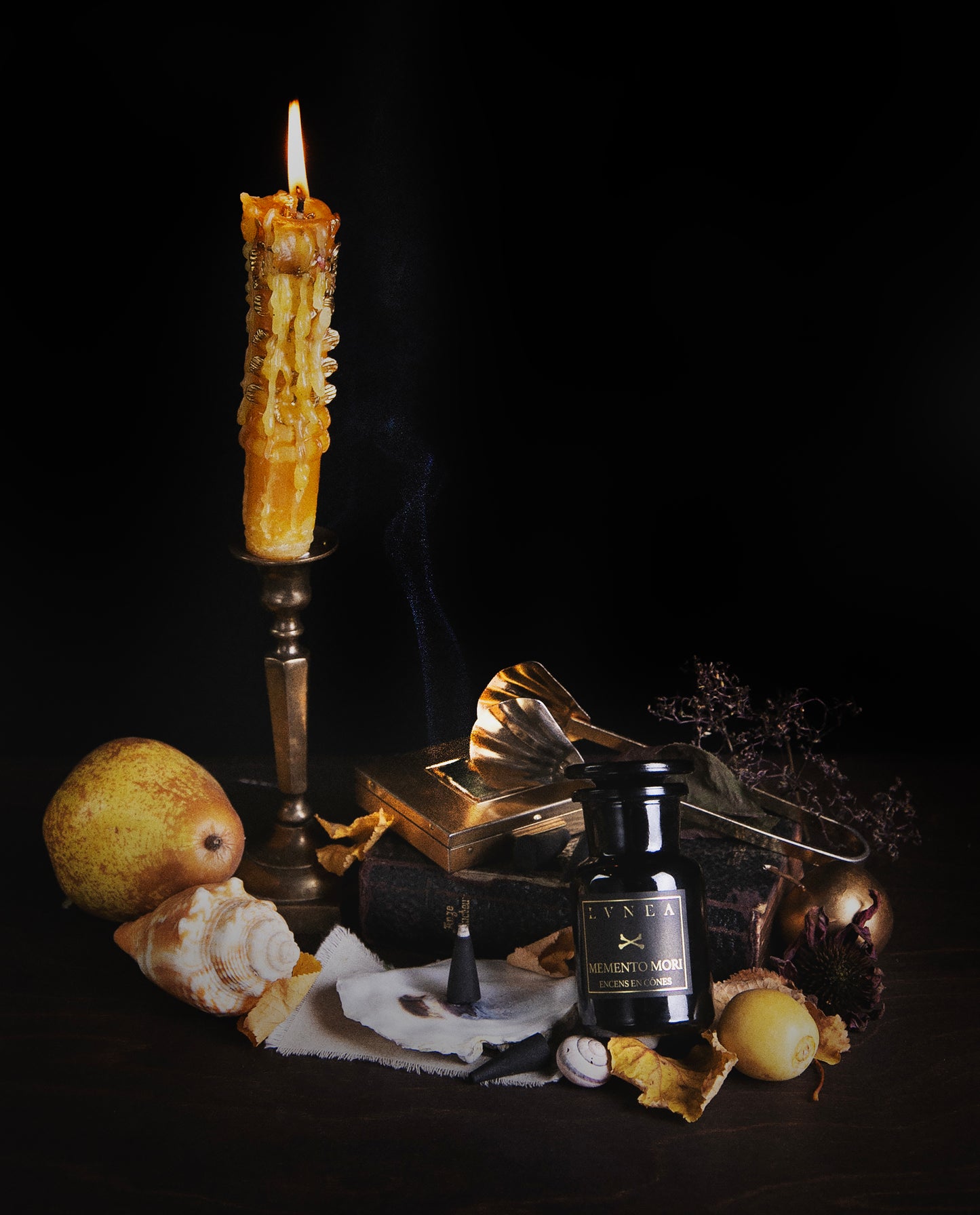 MEMENTO MORI | Limited Edition Incense Cones - musk root, ivy resin, chrysanthemum