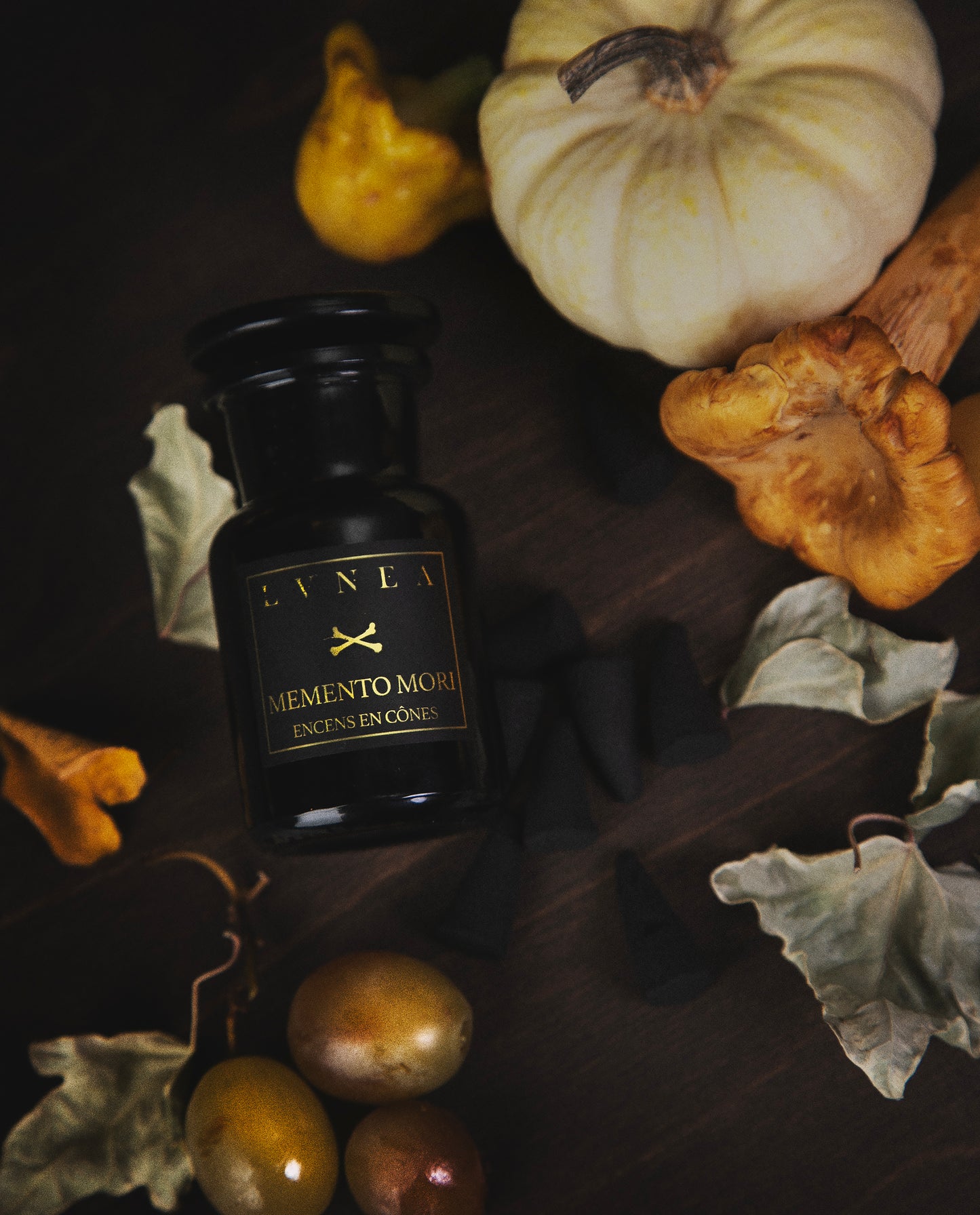 MEMENTO MORI | Limited Edition Incense Cones - musk root, ivy resin, chrysanthemum