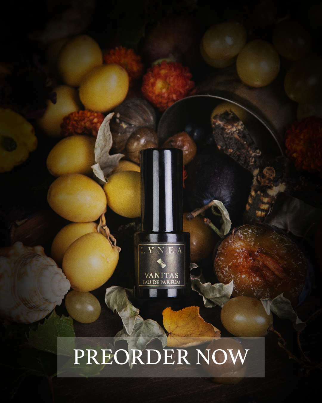Lvnea Perfume