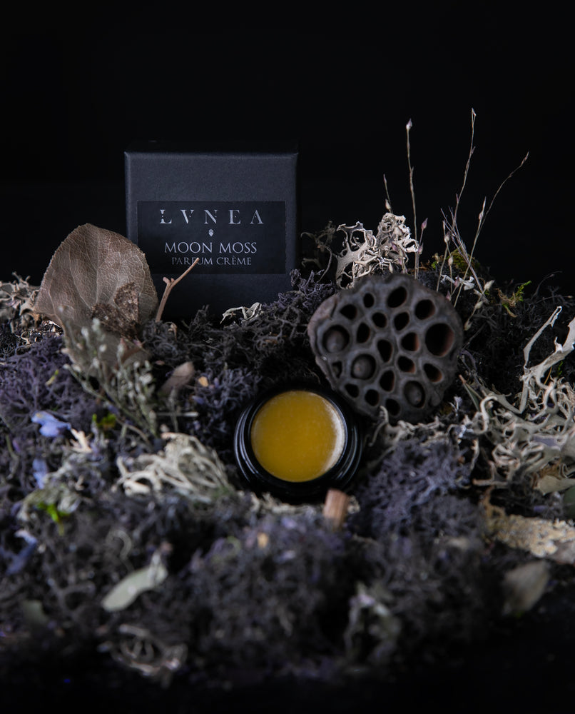 10g black glass jar of LVNEA's 'Moon Moss' solid perfume, open to reveal a golden balm. It is nestled amongst moss, lavender, and other botanicals.