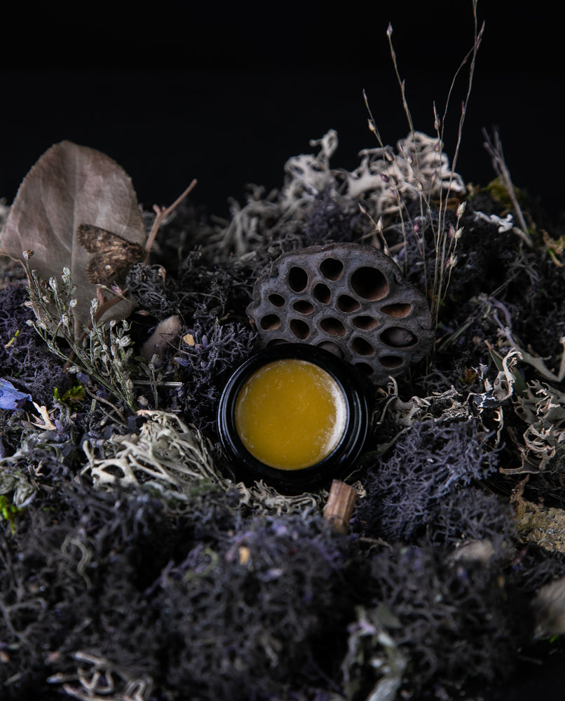 10g black glass jar of LVNEA's 'Moon Moss' solid perfume, open to reveal a golden balm. It is nestled amongst moss, lavender, and other botanicals.
